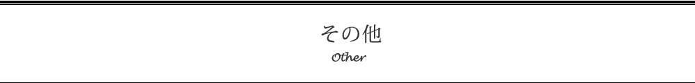 その他