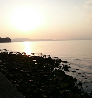 事務所の近くの海