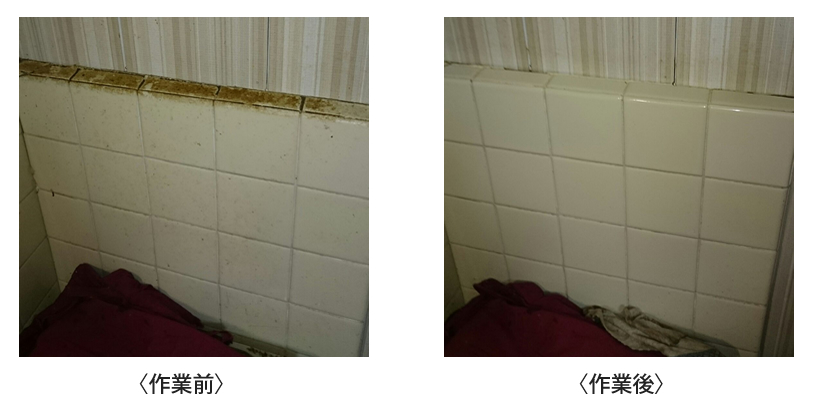 壁の掃除